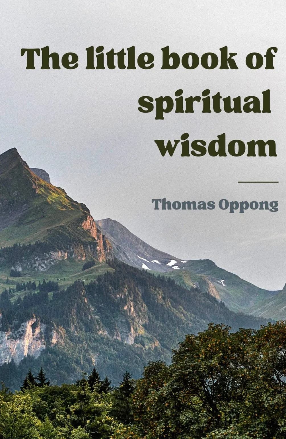 The little book of spiritual wisdom